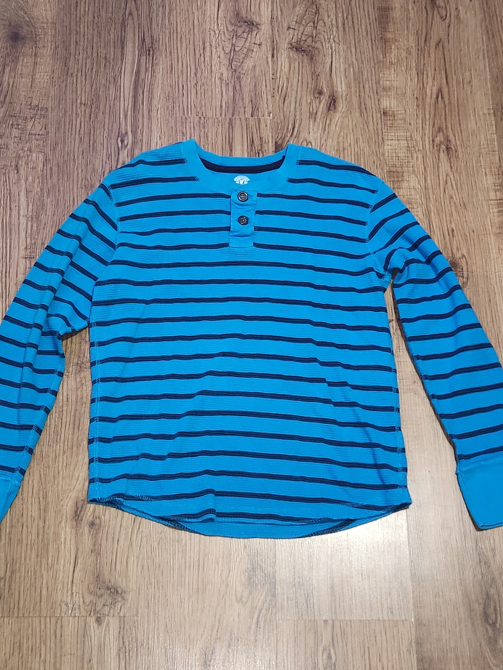 Blue Striped Henley Sweatshirt with Button Placket